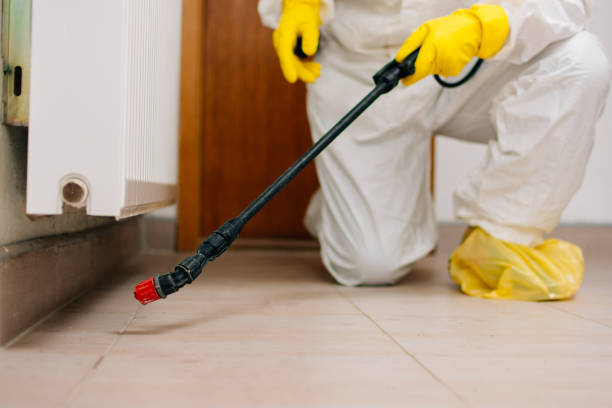 Winged Pests Being Exterminated